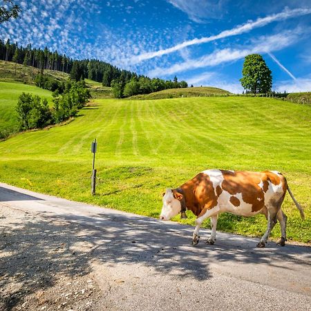 Bauernhaus Bichl Sankt Johann im Pongau Kültér fotó