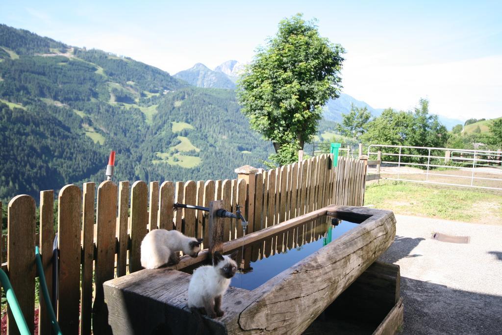 Bauernhaus Bichl Sankt Johann im Pongau Kültér fotó